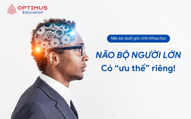 Não bộ người lớn dưới góc nhìn khoa học