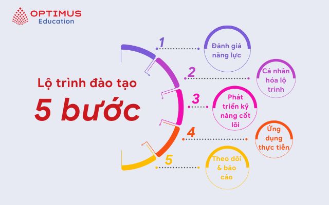 Lộ trình đào tạo 5 bước toàn diện của Optimus